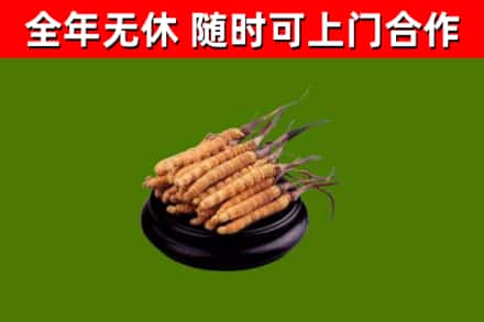 南溪区烟酒回收冬虫夏草.jpg